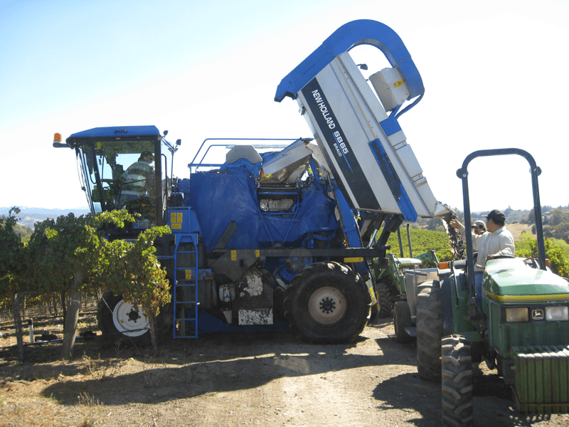 Grape Harvesting Vineyard Ops