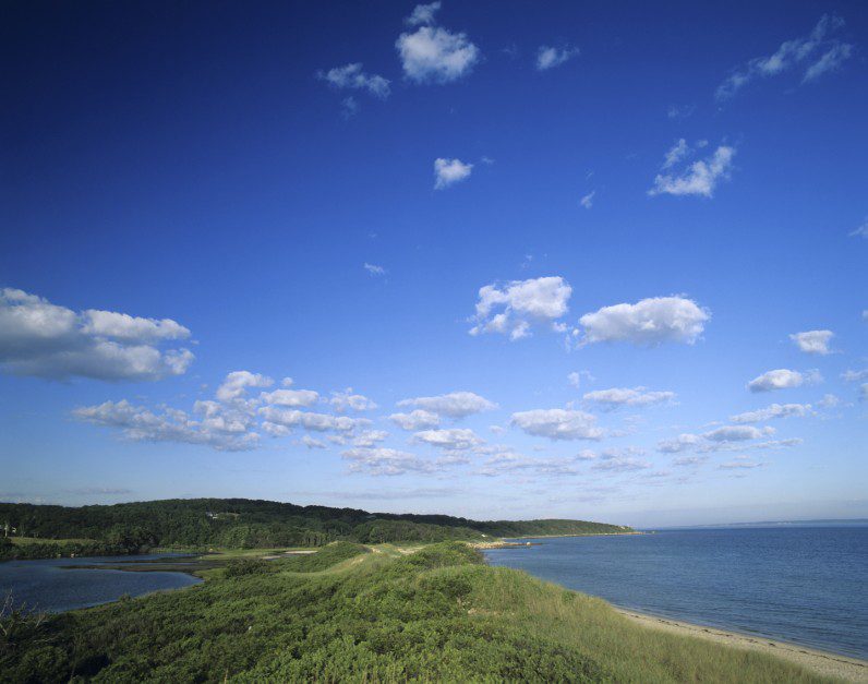 Lambert's Cove Vineyard Visitor