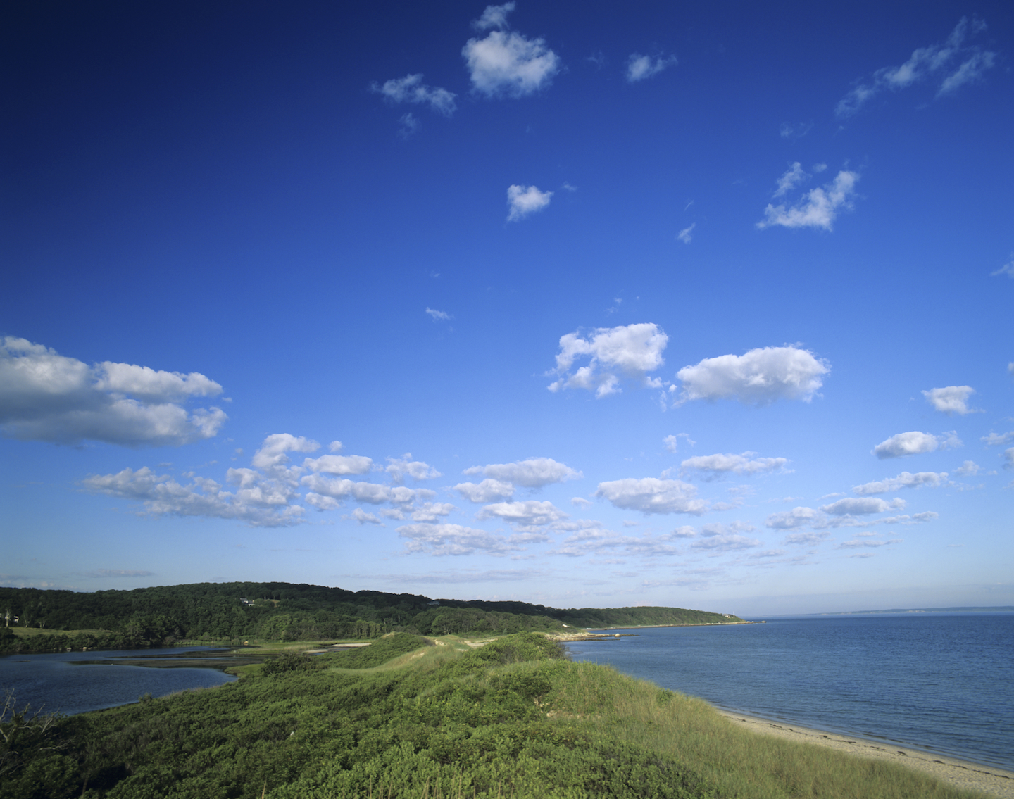 Lambert's Cove Vineyard Visitor