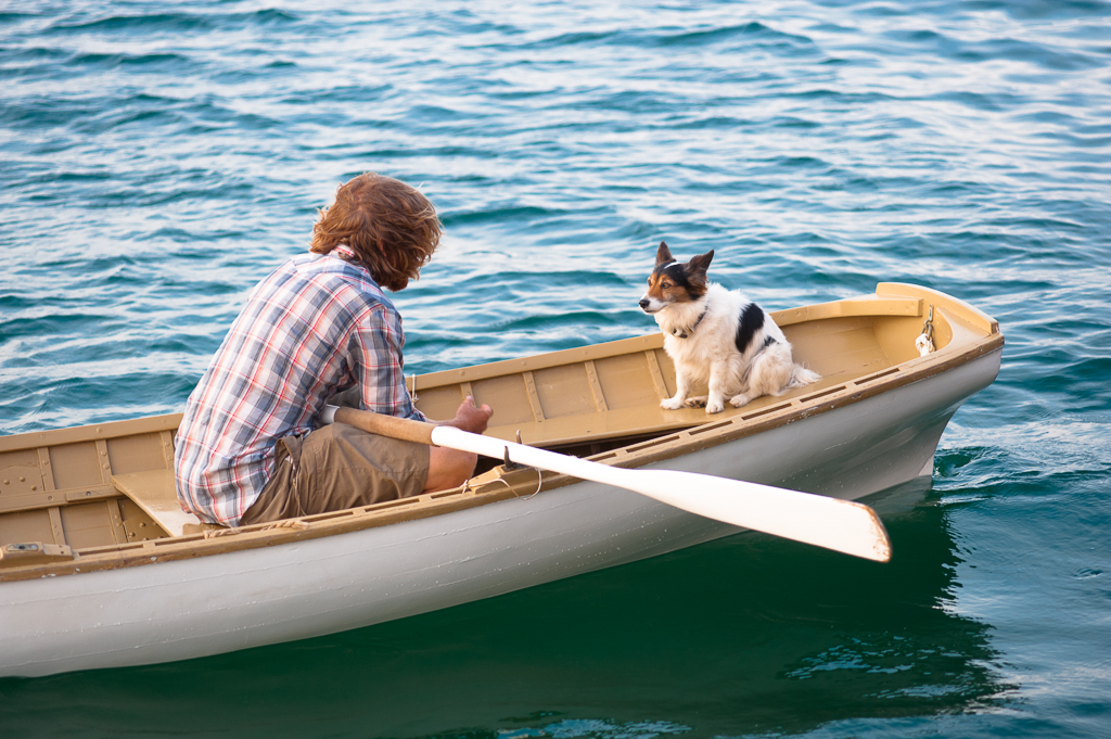 What about Fido? Dogfriendly lodging on Martha's Vineyard Vineyard