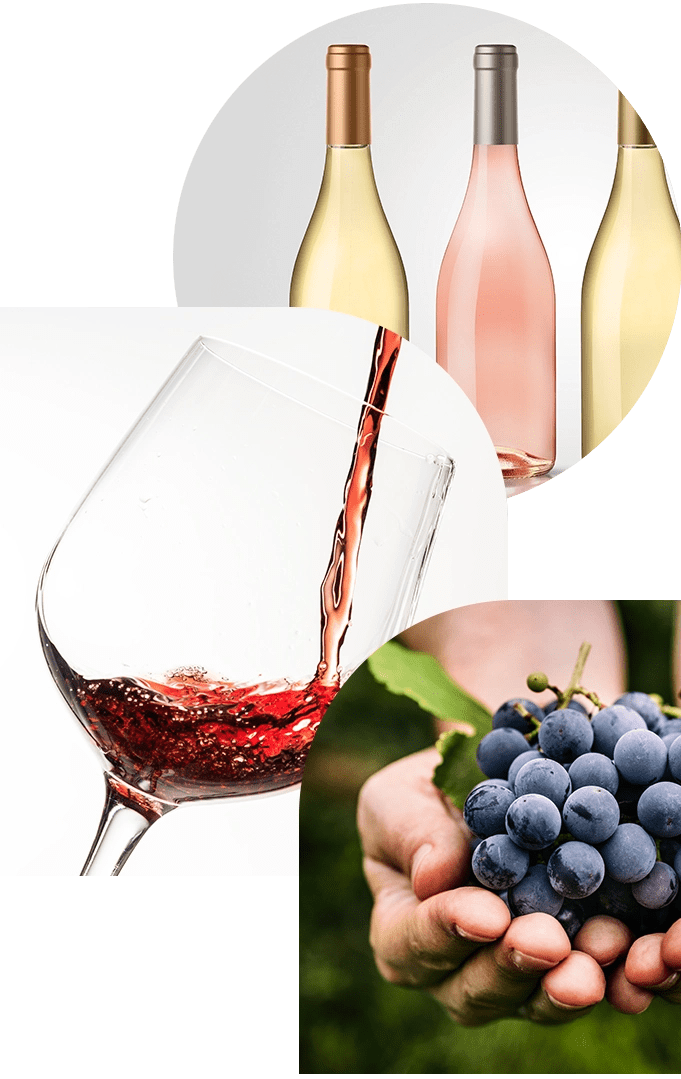 Courses Vinez Wine Business Consultancy