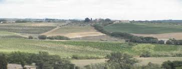 Precisazioni Sul Diritto Di Prelazione Dei Terreni Agricoli | Vinforma 139_x_363_jpg