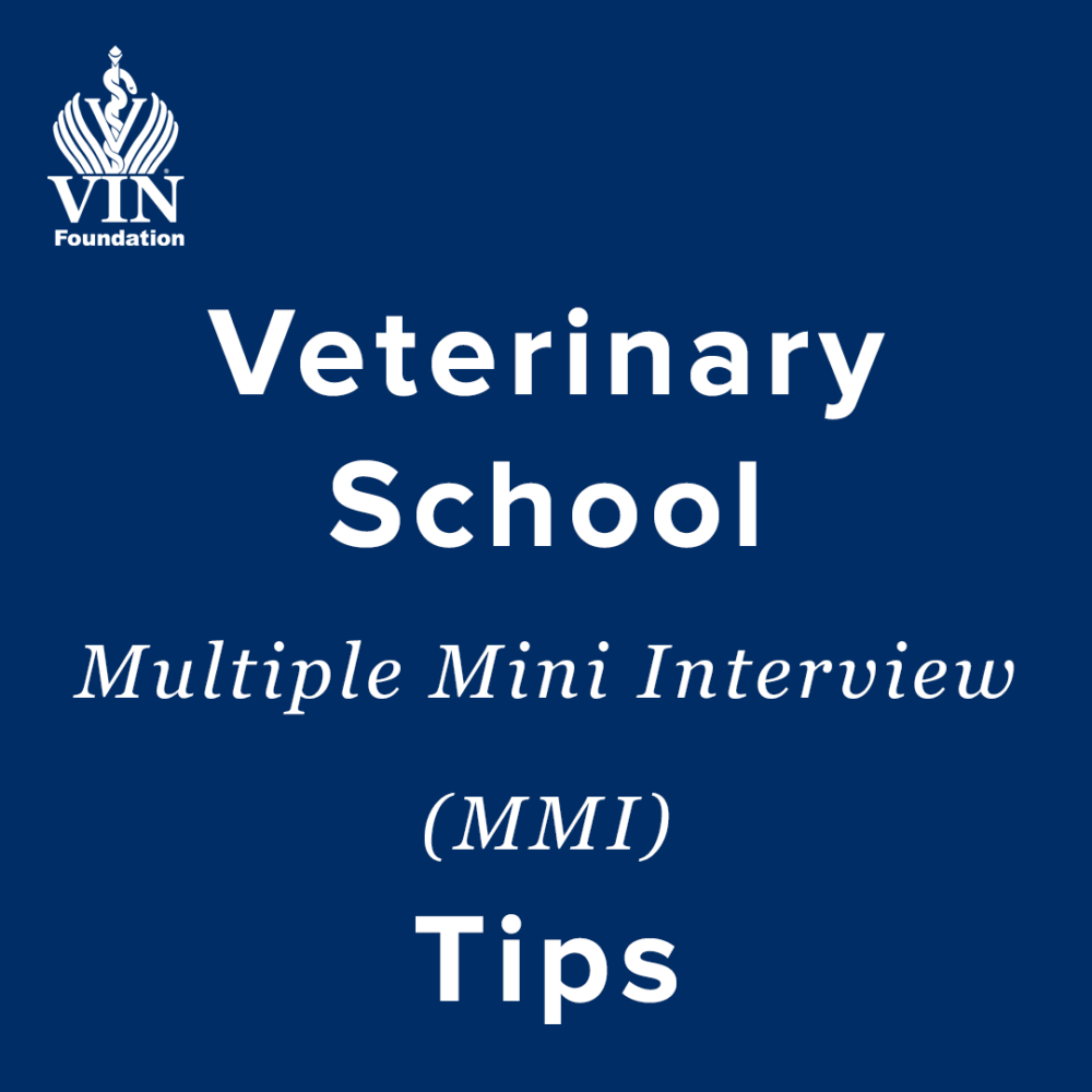 Practice Veterinary Interview Questions Flashcards Cram.com