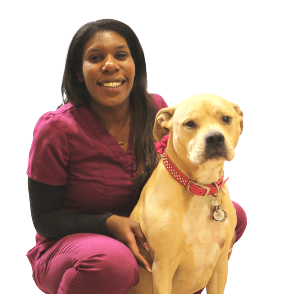 A Veterinary Student VIN Foundation