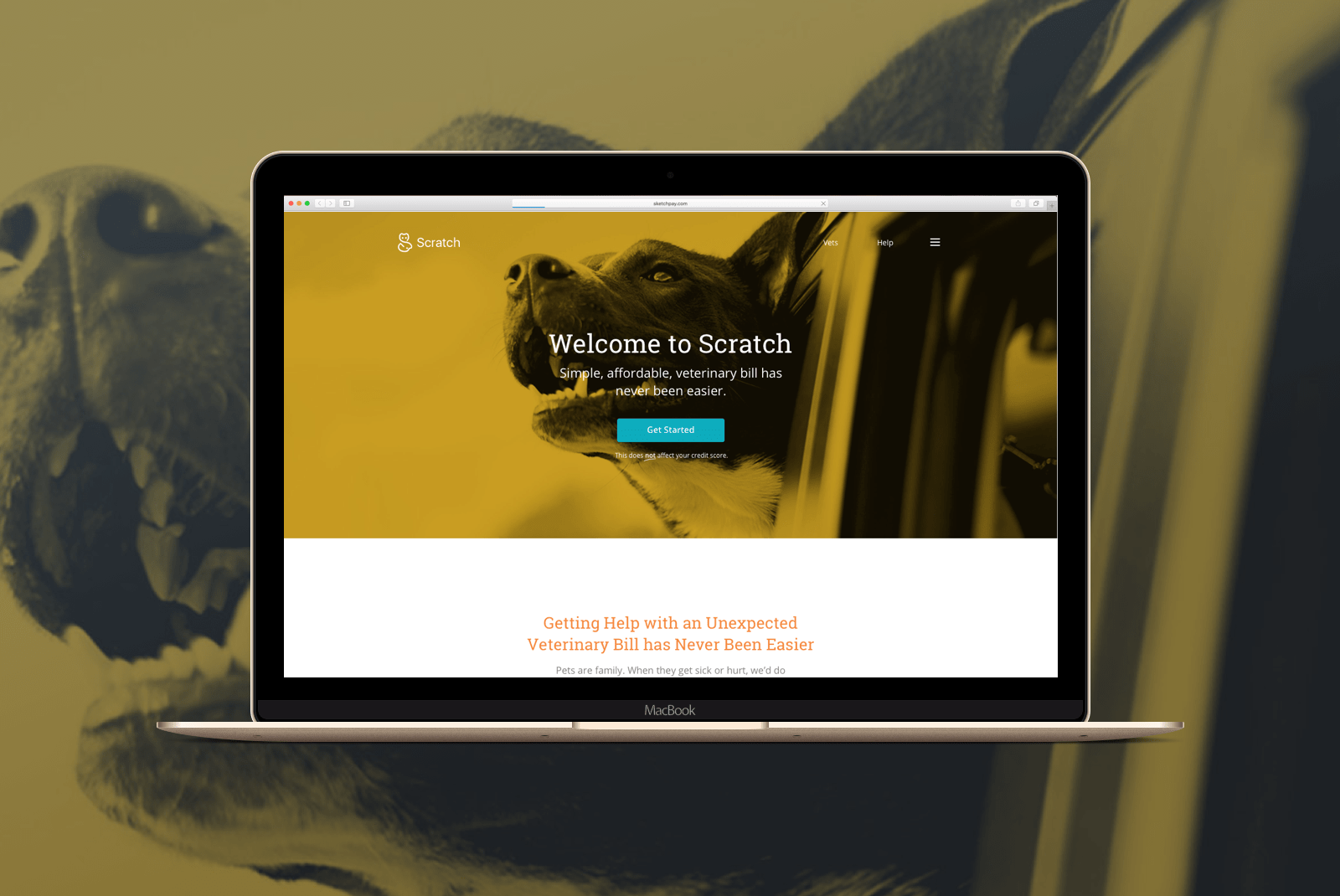 Scratch Vet Pay Vincent T Portfolio