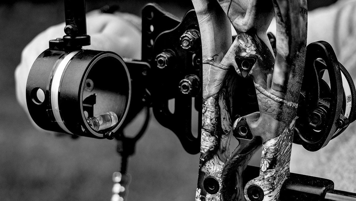 Best Recurve Bow Reviews 2023 Complete Buyer's Guide