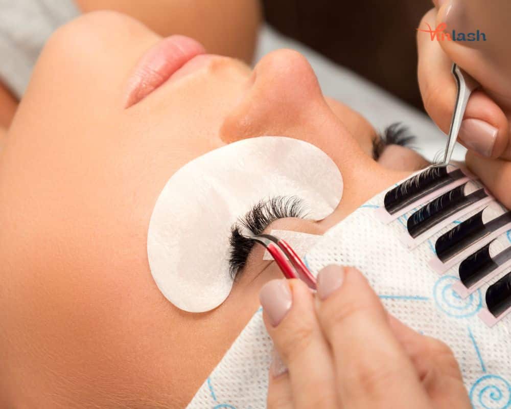 Maximizing profits with an eyelash extension wholesale distributor