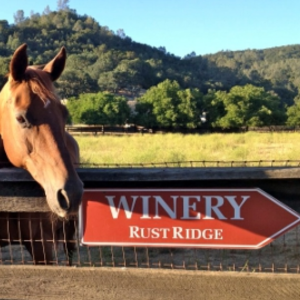 Off the Beaten Path in Napa Valley: RustRidge Ranch Winery – Vinocultured