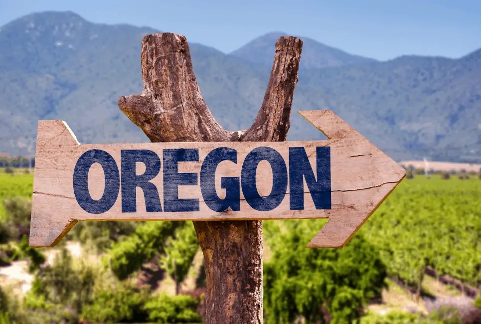 The Best Wineries in Oregon That You'll Love! Vino Del Vida