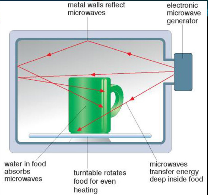 Does Microwave Kill Bacteria atelieryuwa.ciao.jp