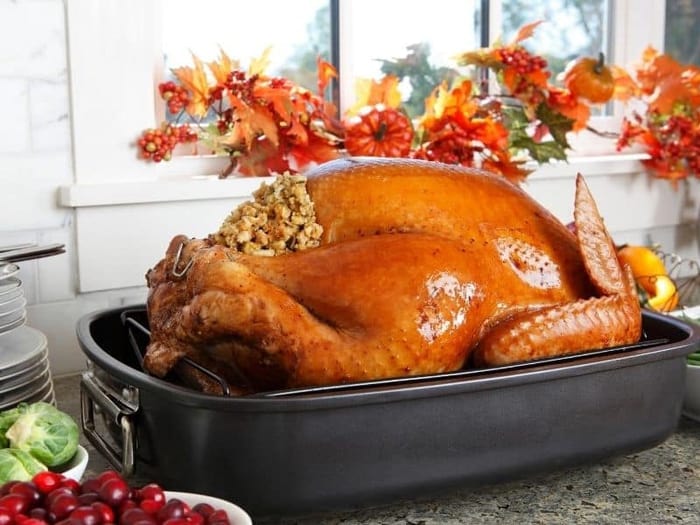 How to cook a turkey in an electric roaster oven overnight? June 2023