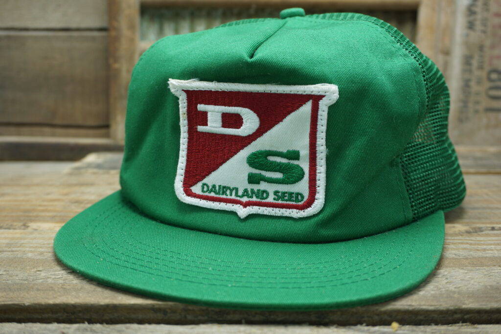 Dairyland Seed Hat Vintage Snapback Warehouse
