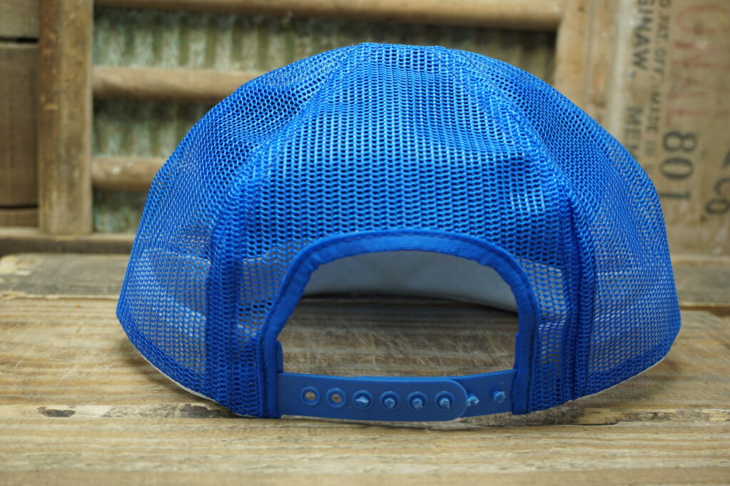 NAPA Auto Parts Echlin Bear Hat Vintage Snapback Warehouse