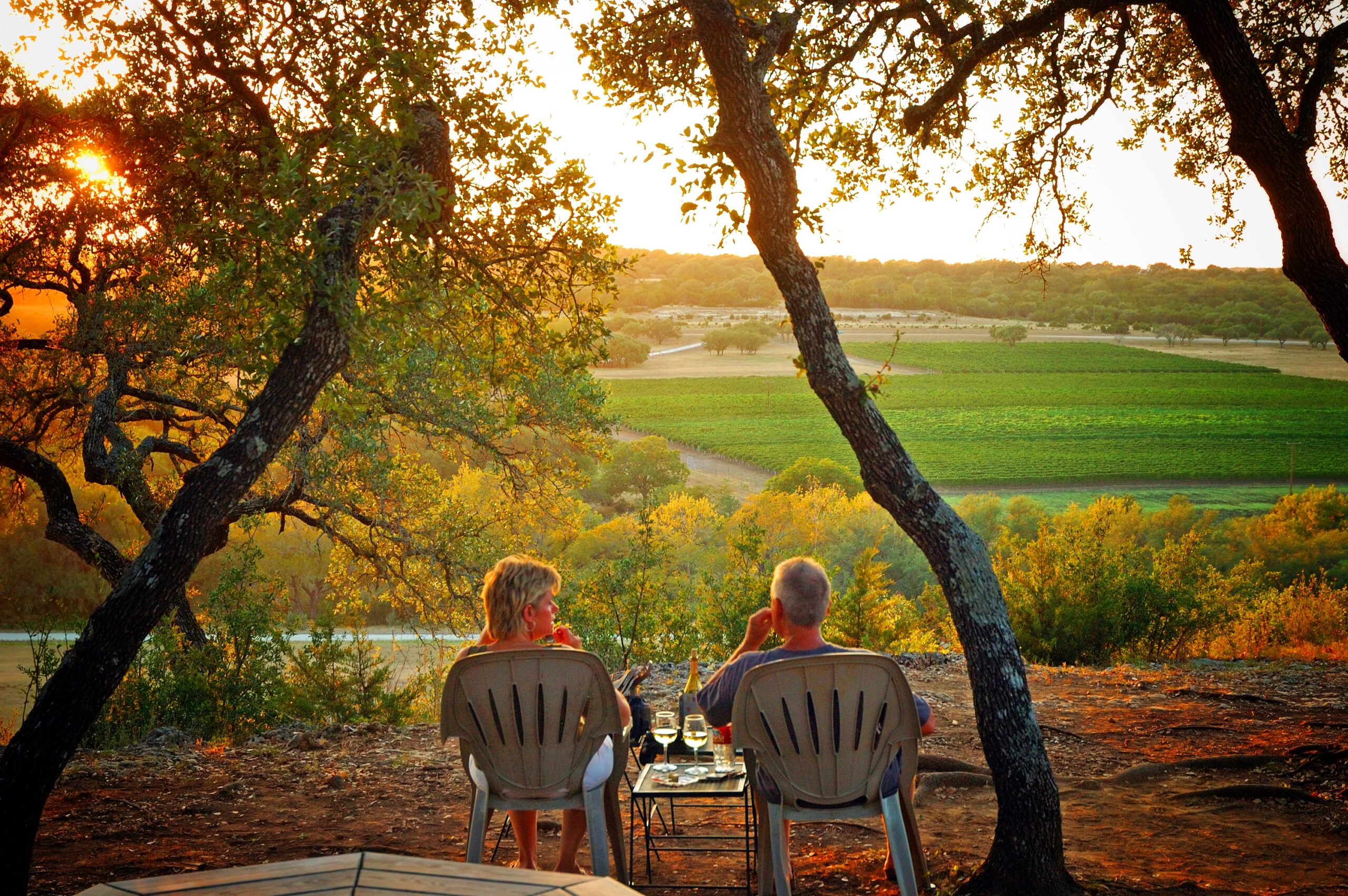 Texas Hill Country Wineries Tasting Stop Driftwood Estate Winery… 100