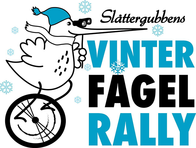 fågelräkning 2023 Birdlife Sverige | Vinterfåglar Inpå Knuten