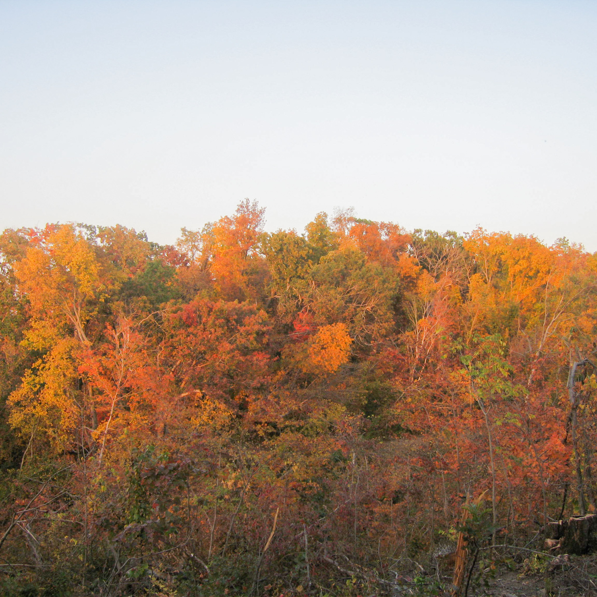 Gallery Hidden Valley Campground Vinton, IA