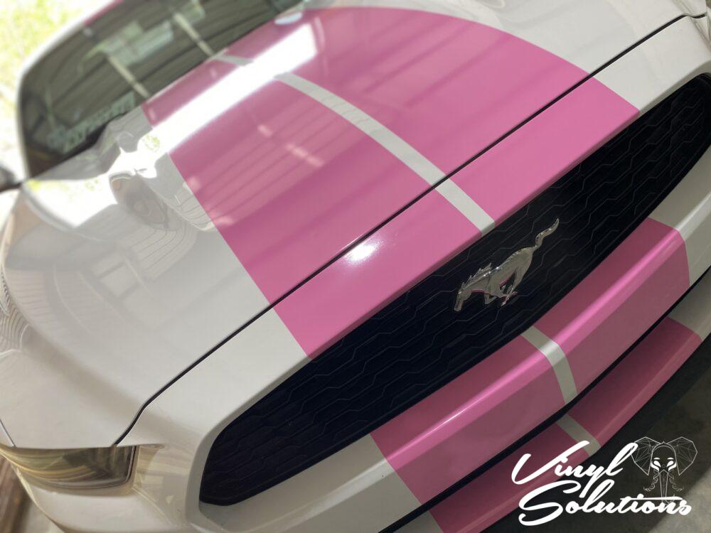 Racing Stripes and Graphics Vinyl Solutions