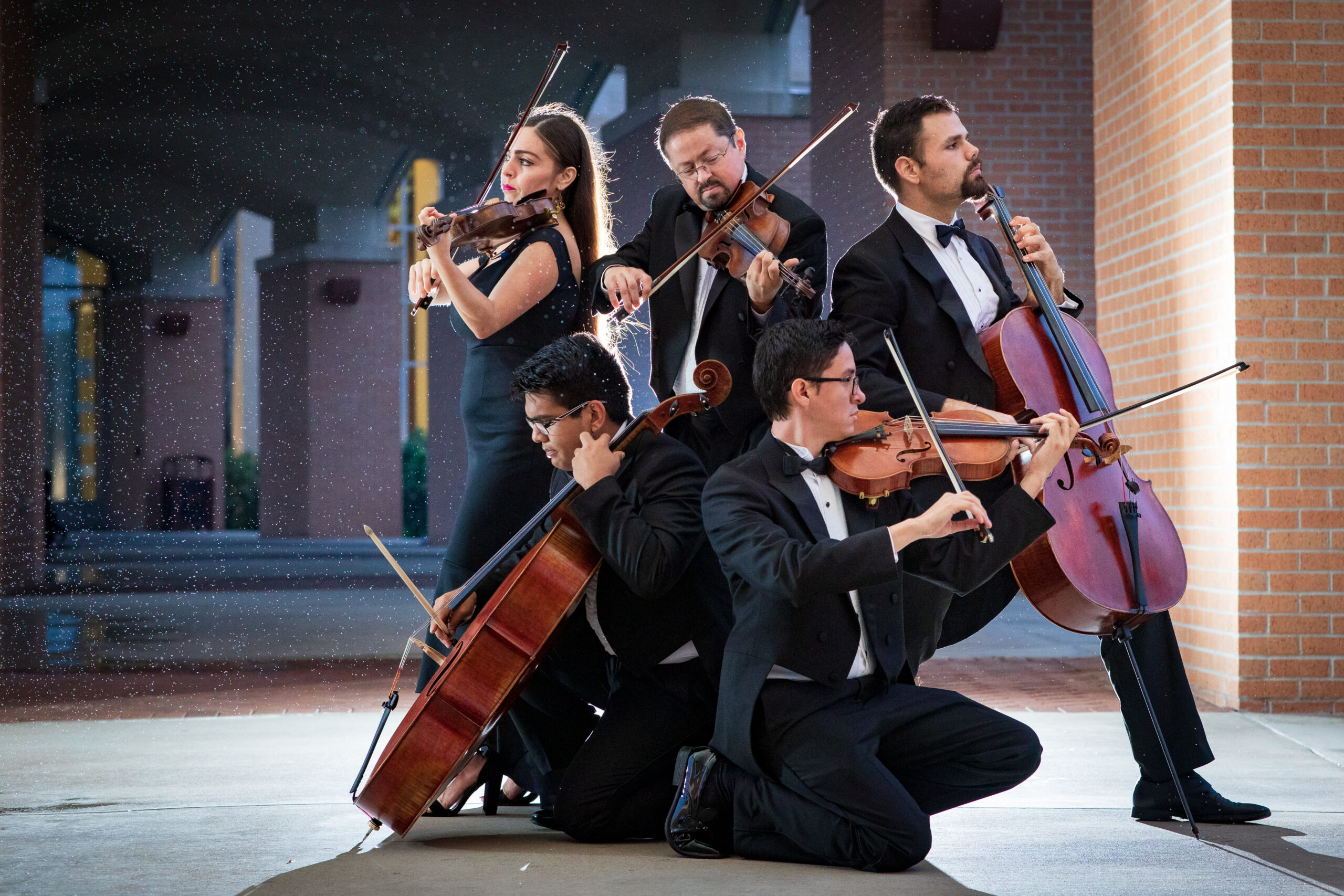 String Quartet for Your Event Weddings, Cocktail, Dinners...