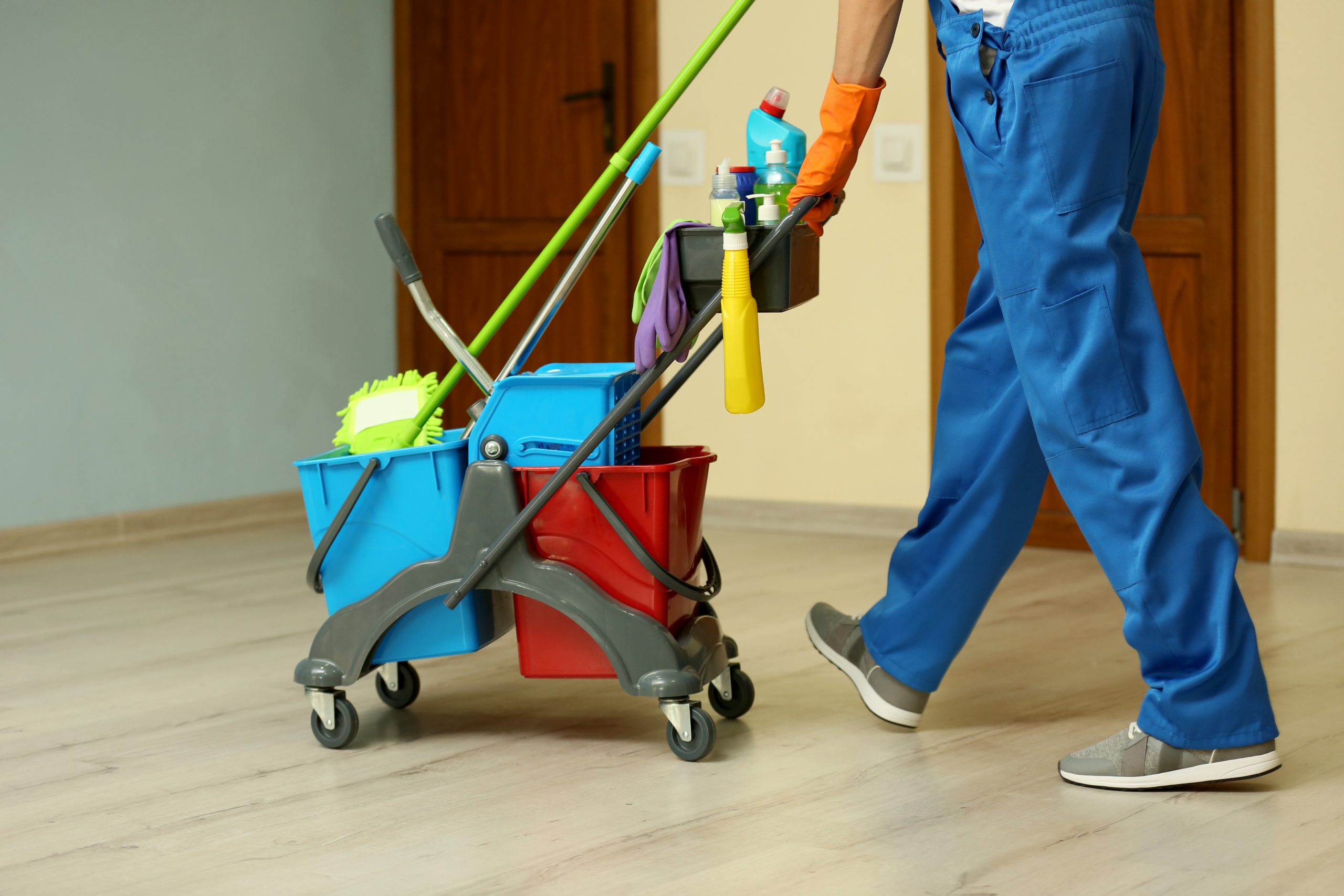 Maid Services Calgary, AB Violet Maid Service Calgary, AB & Maids