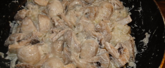 Толстеют ли от грибов маринованных. Можно ли поправиться от грибов