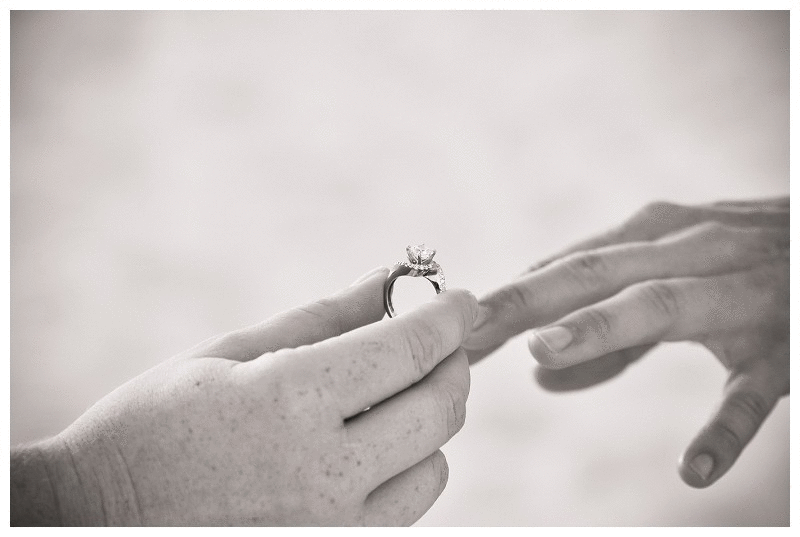 Had We But World Enough, and Time, This Slow Wedding