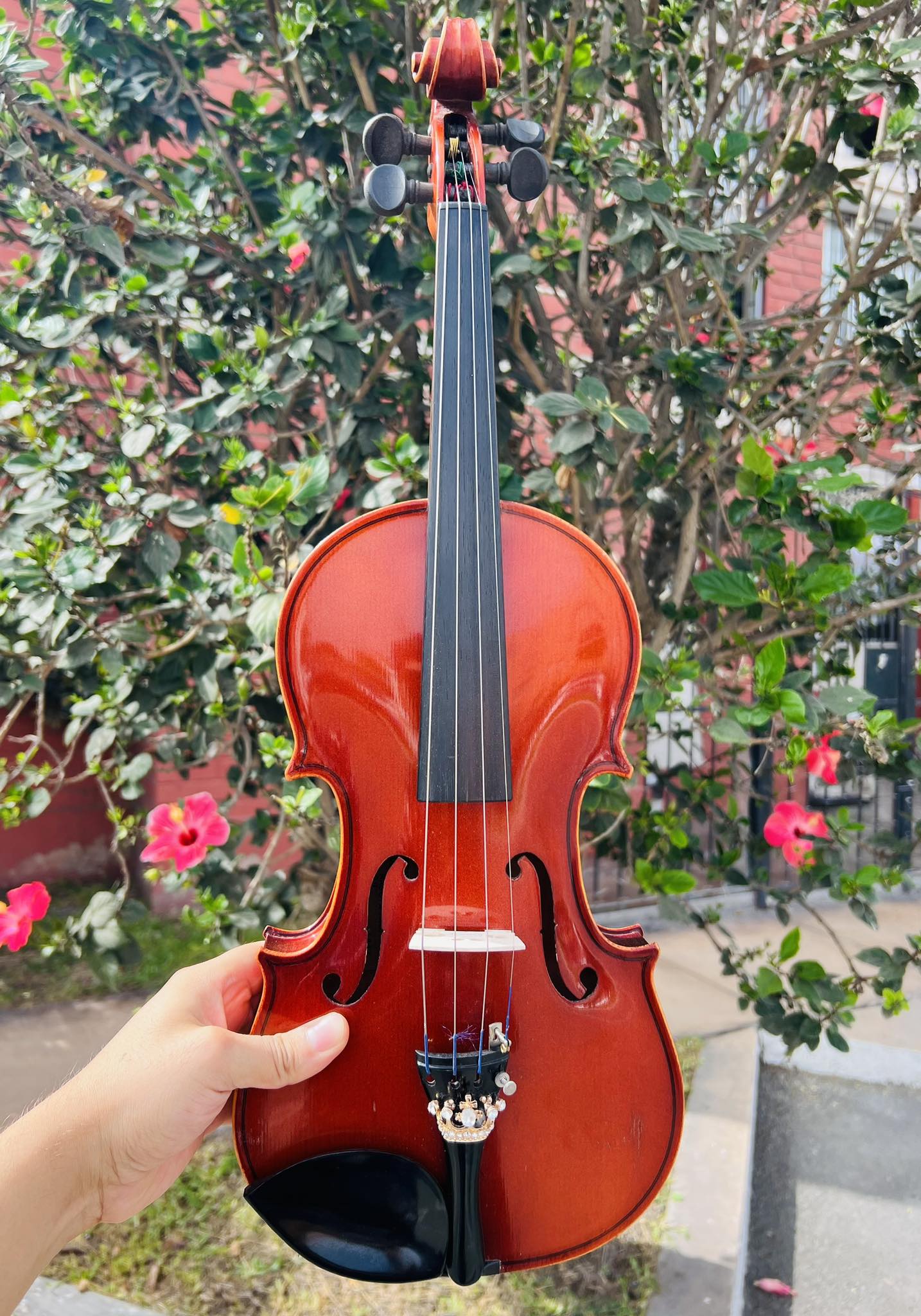 Violin 3/4 Profesional Suzuki