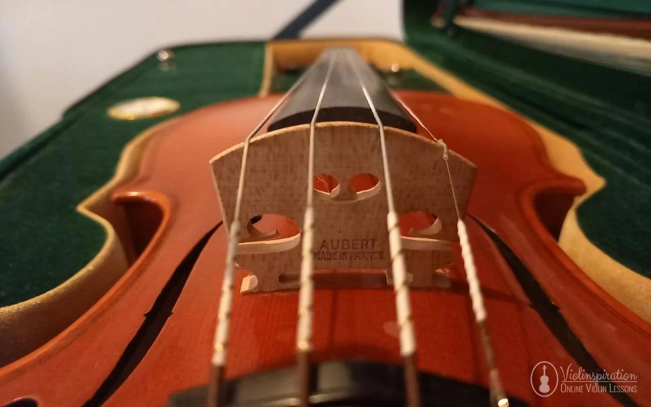 How to Make Your Cheap Violin Sound Better? Violinspiration