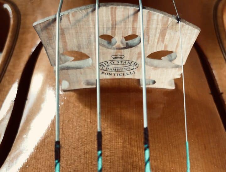 9 Tips and your Violin E String Won't Whistle Again Violin Trend