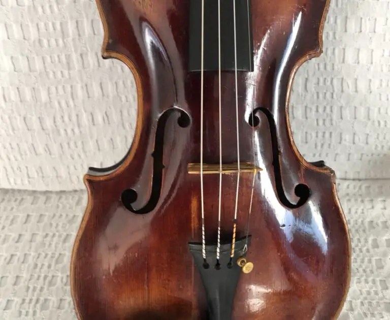 How to Clean a Violin? A step by step guide with pictures Violin Trend