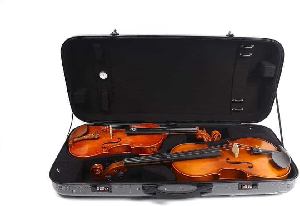 What are the Differences Between a Violin and a Viola? Violin Trend