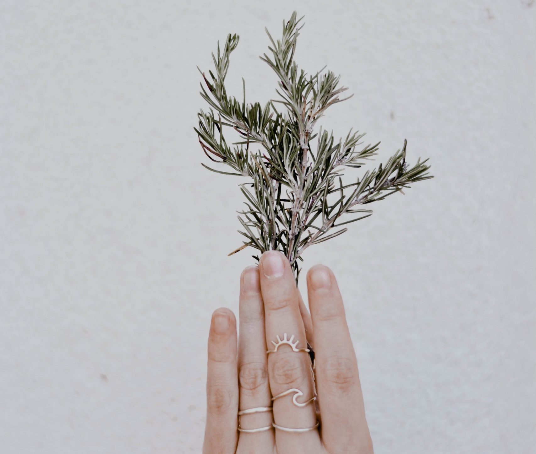 Rosemary is your beauty holy grail!