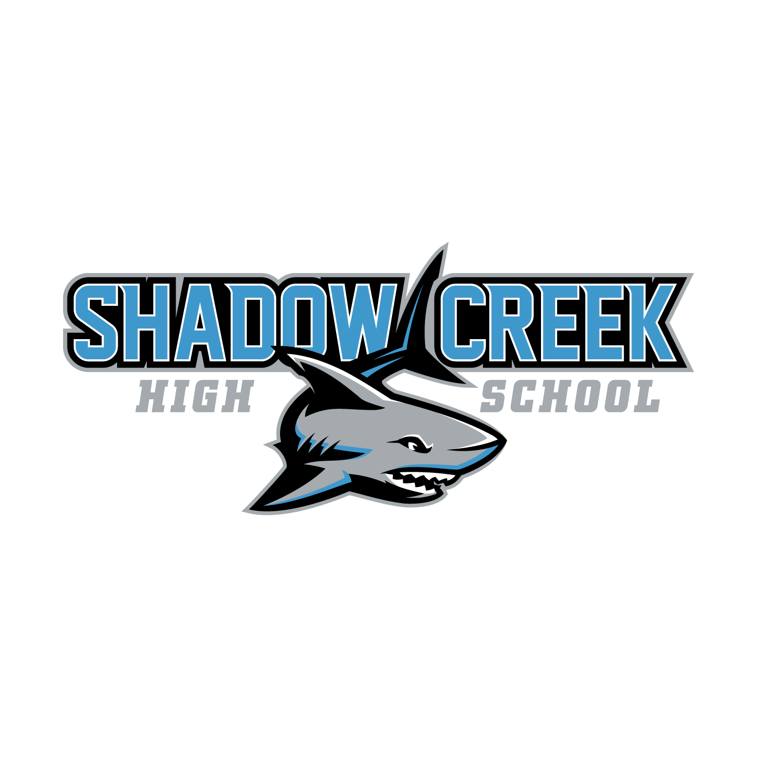 Our Portfolio VIP Branding