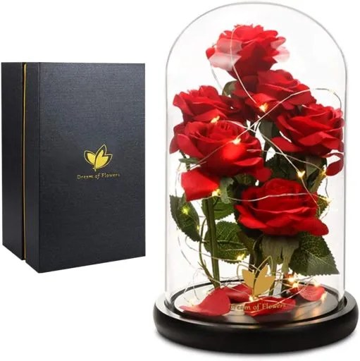 Roses Gift In Glass Dome With LED Las Vegas NV VIP Floral