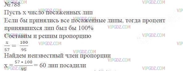 Весной при проведении работ по озеленению города на улице посадили липы