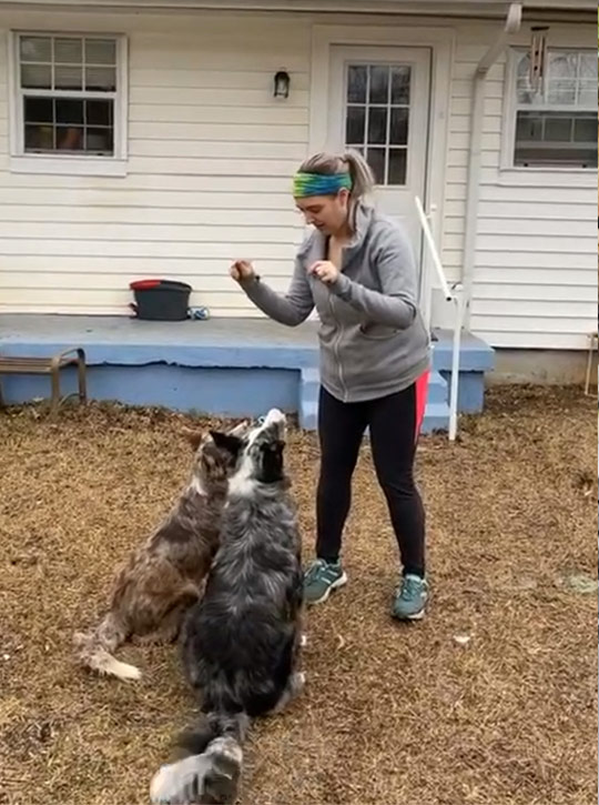 Emily Tuttle VIP Pet Services