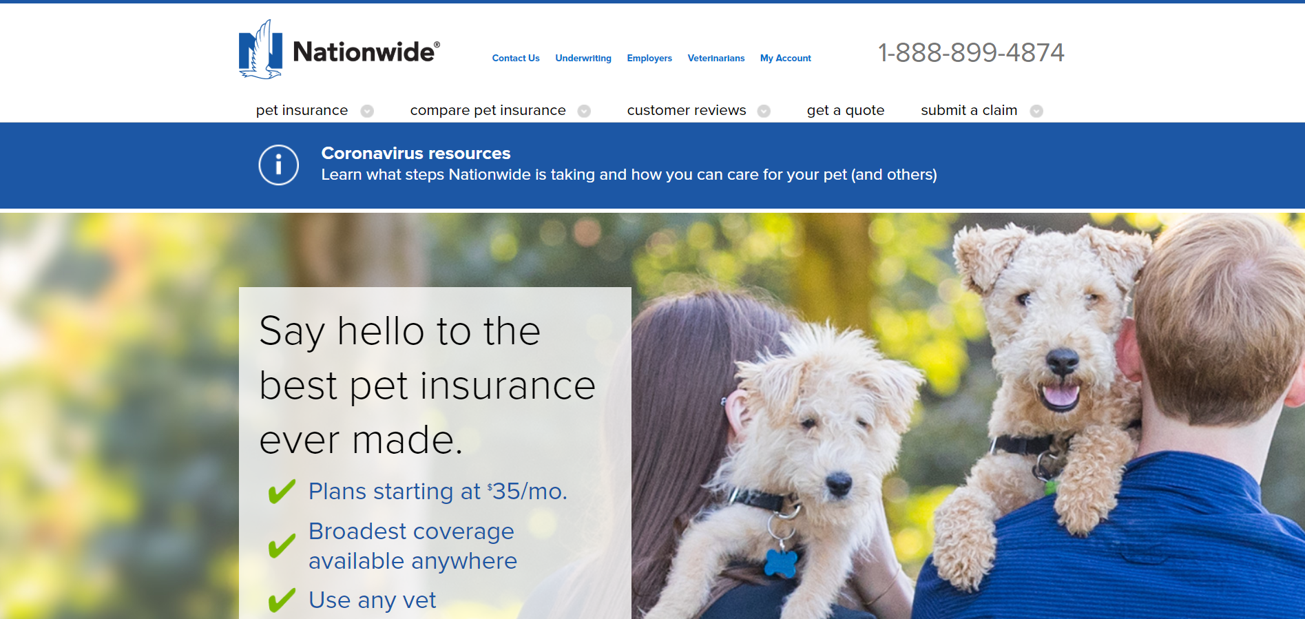Is Dog Insurance Worth It? VIP Puppies