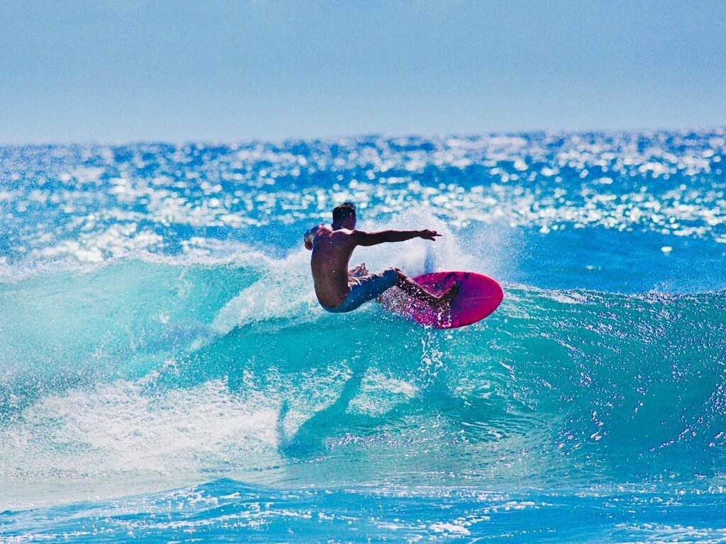 Kona Surfboard Rentals VIP Sightseeing