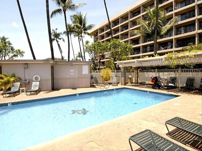 VIP Vacation Rentals » Kihei