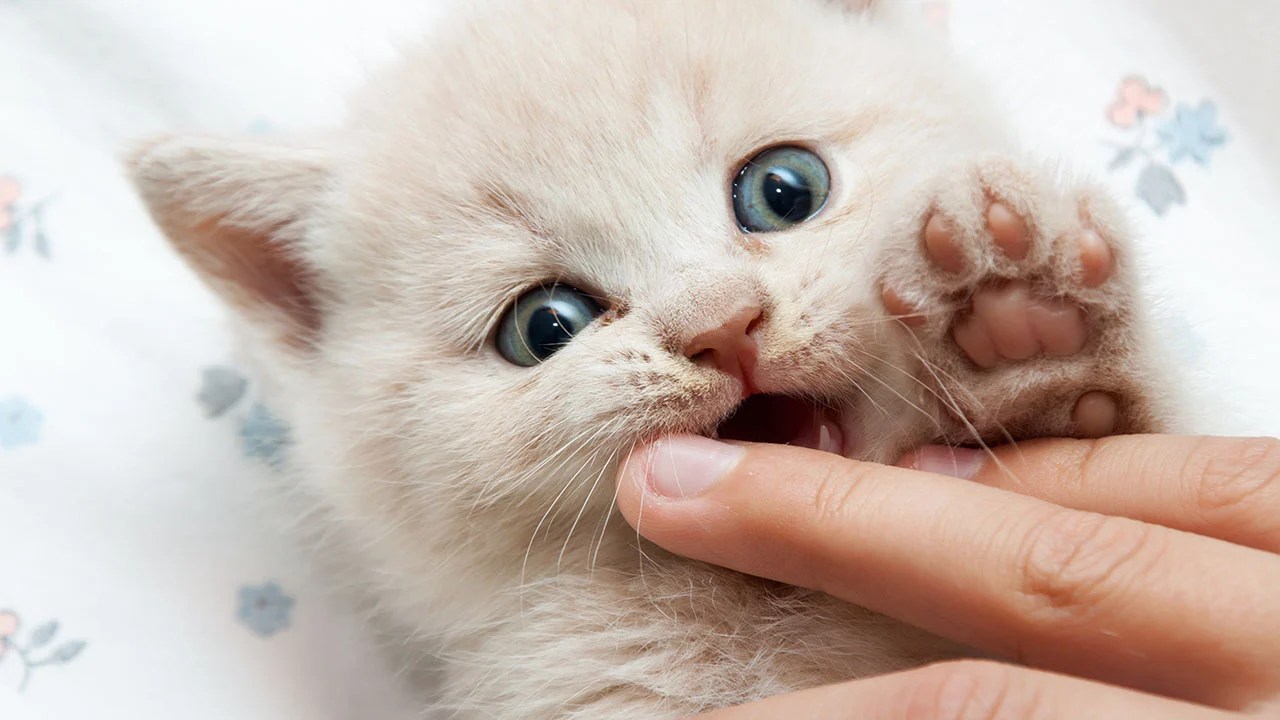 7 Everyday Dangers Lurking In Plain Sight