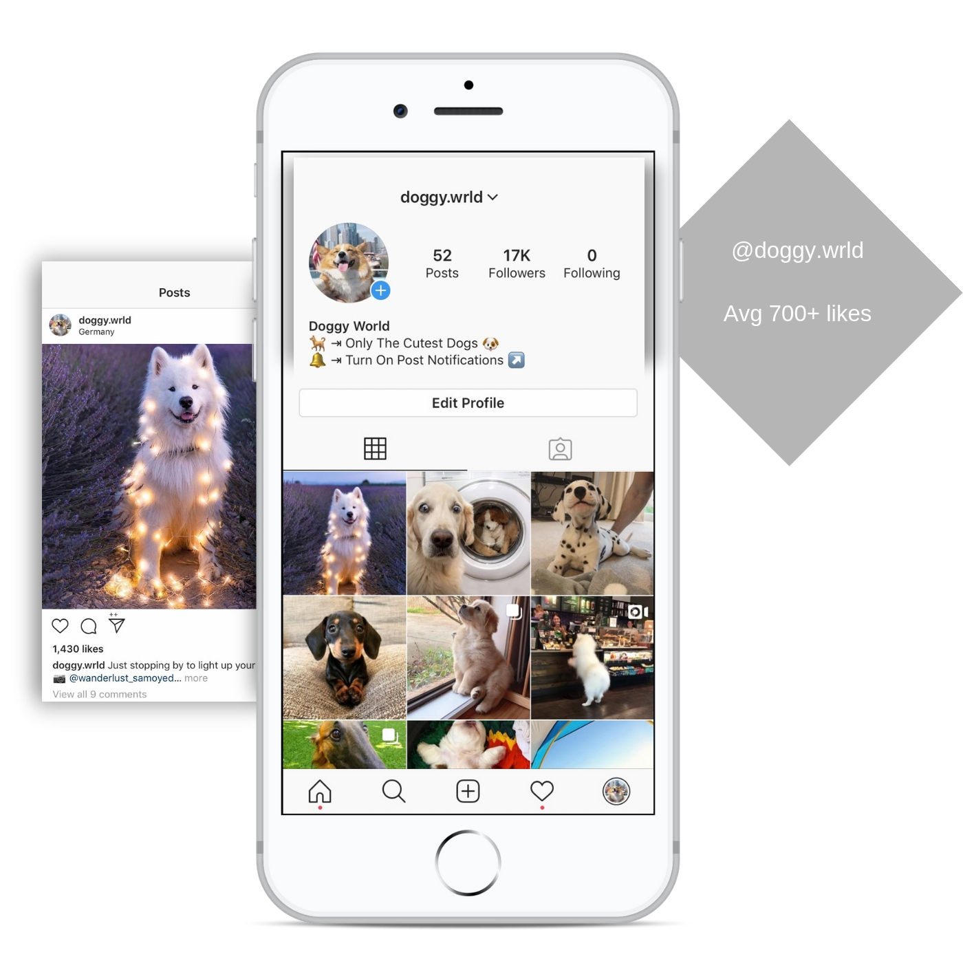 17K (Dogs) Instagram Account For Sale Viral Instas