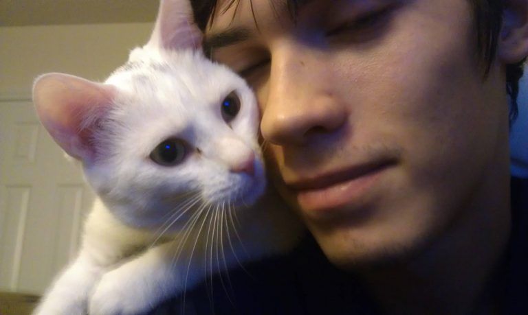 Om du ser din katt göra någon av dessa saker, försöker de säga något