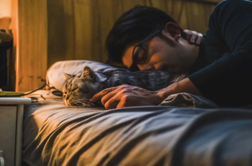 Viral Strange Vegan Girlfriend Insists Boyfriend Rehome Cat, Faces