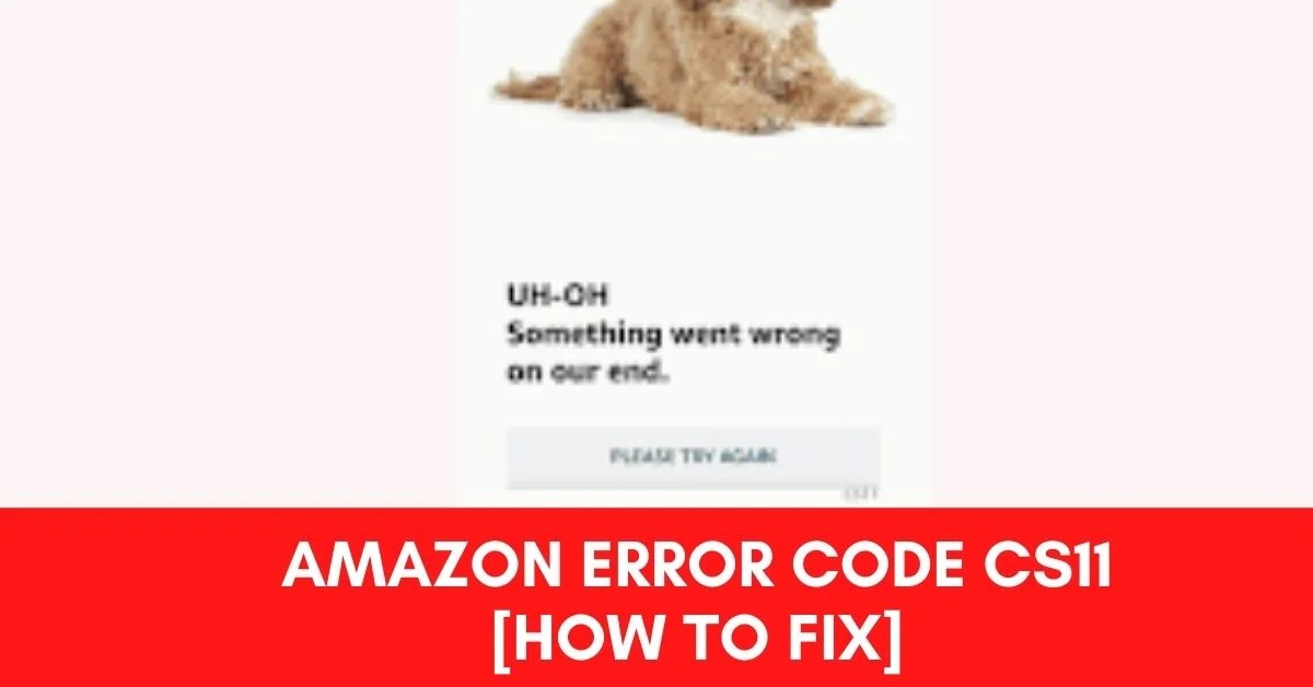 Amazon Error Code CS11 [Fix 2024] ViralTalky