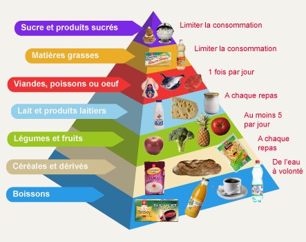 Pyramide Alimentaire Vireakluon
