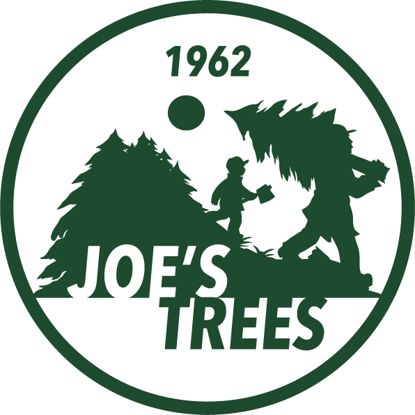 Fresh Cut Trees Categories Virginia Christmas Tree Growers Association