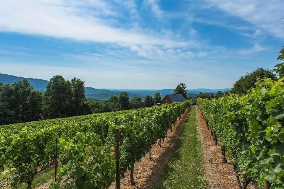 Chester Gap Cellars Virginia Estates