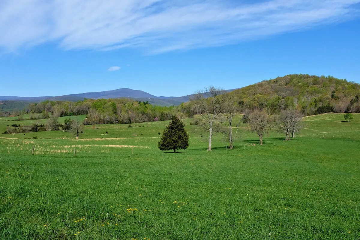 Greene Land Virginia Estates