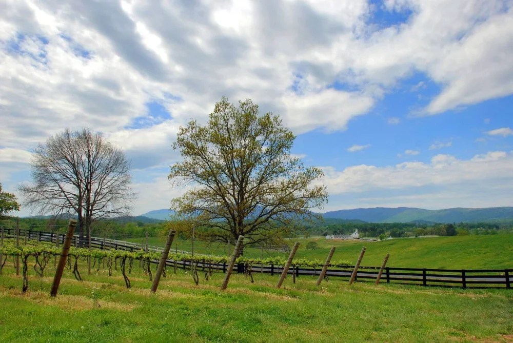 Seven Oaks Virginia Estates