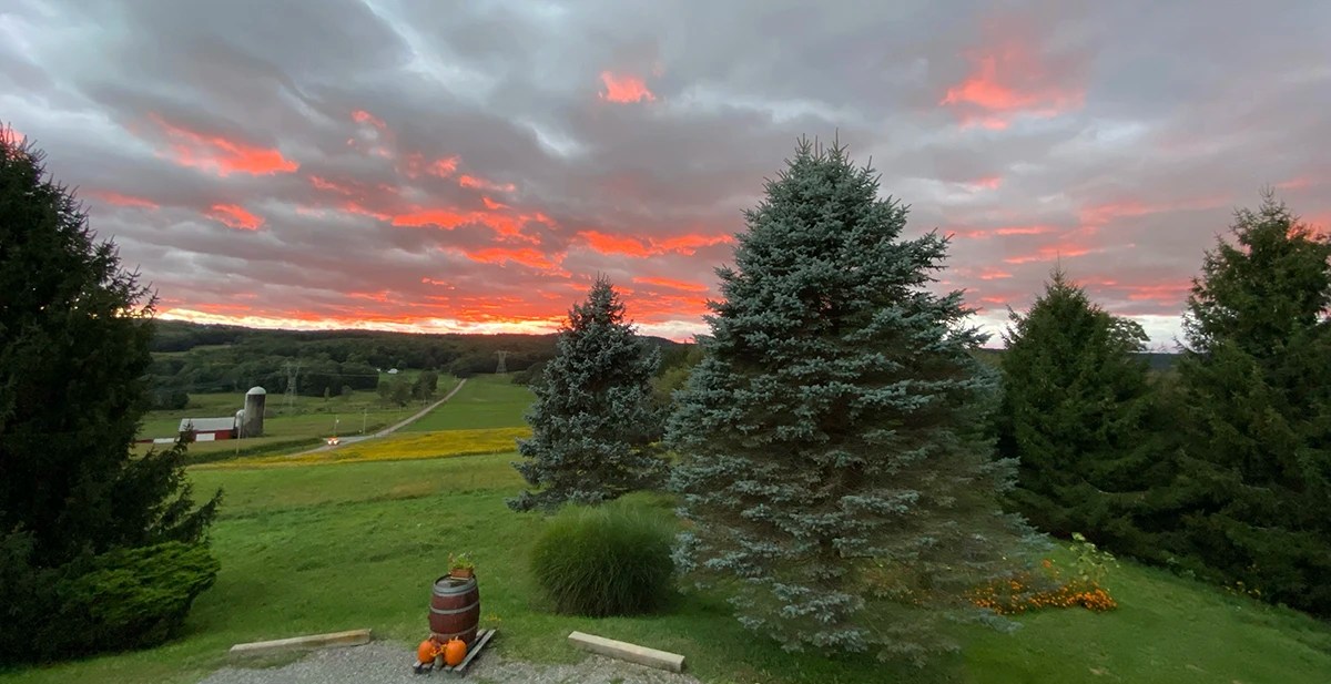 Profitable Winery with Custom Home in Idyllic Setting Virginia Estates