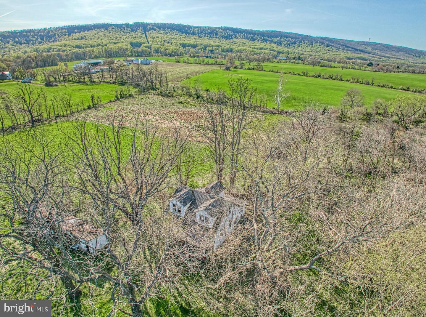 12347 AXLINE RD LOVETTSVILLE,VA 20180 Virginia Estates